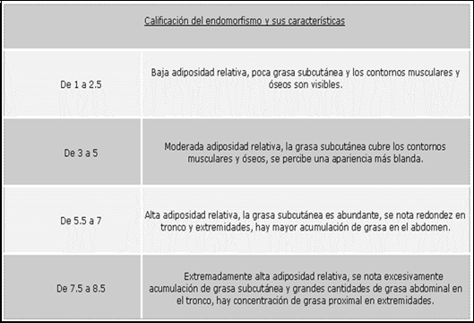 Clasificación de endormorfismo